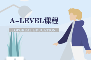 北京方舟A-Level VIP定制课程