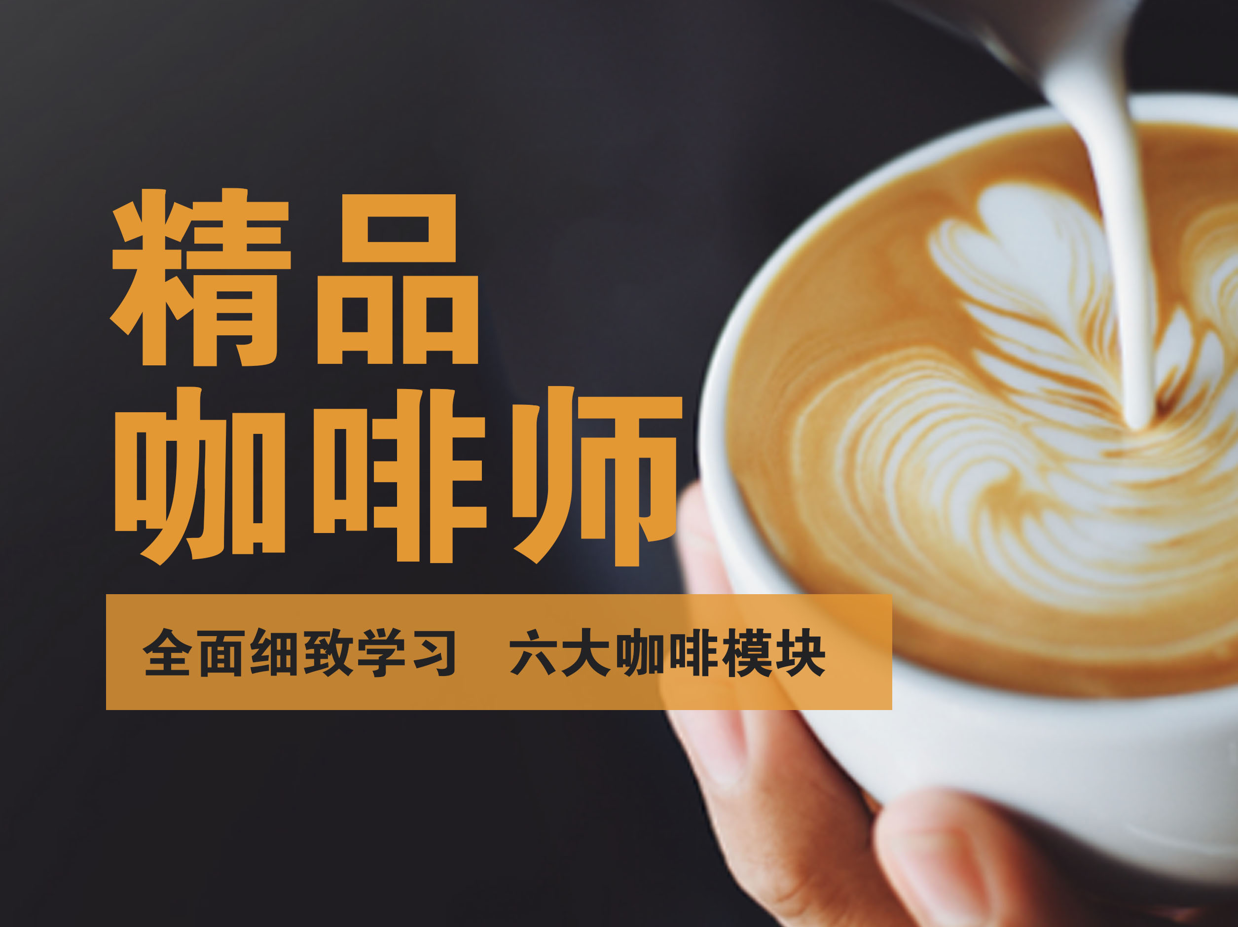 上海五加一证书培训中心上海五加一培训 精品咖啡师 补贴1000元图片