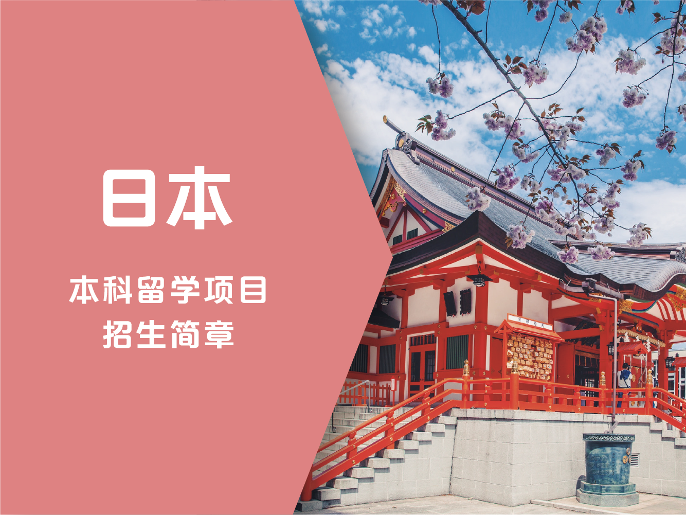 纽业国际教育日本本科留学项目招生简章图片