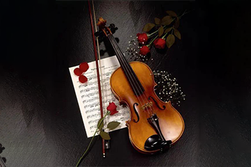 音悦阶梯小提琴线上培训课程图片