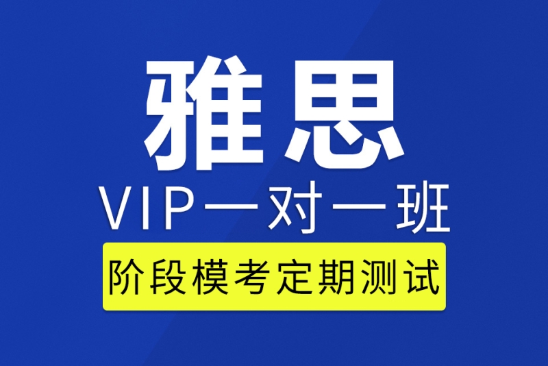 上海新航道学校雅思一对一VIP培训图片