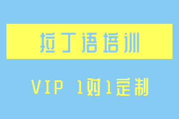 南京拉丁语VIP1对1定制培训课程