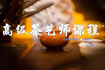 宁波叶子职业学校宁波高级茶艺师课程图片