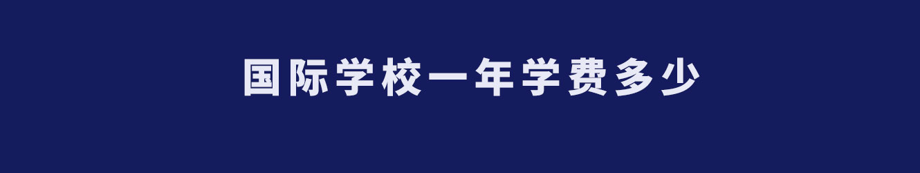 国际学校一年学费多少