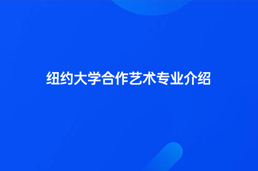 纽约大学合作艺术专业介绍