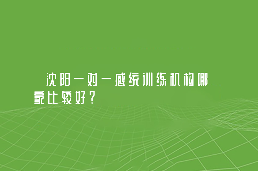 沈陽(yáng)一對(duì)一感統(tǒng)訓(xùn)練機(jī)構(gòu)哪家比較好？