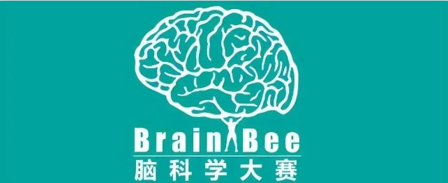 上海Brain Bee课程辅导学校哪家好？