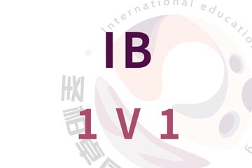 深圳IB一对一培训课程