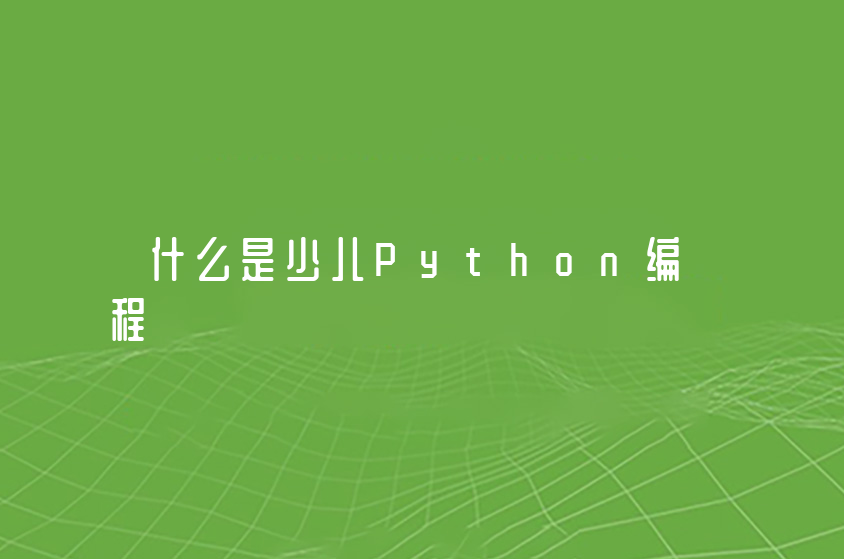 什么是少儿Python编程？