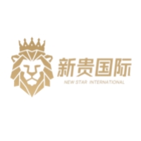 新贵国际教育Logo