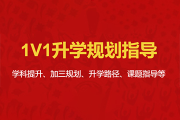上海昂立新课程上海1v1升学规划指导图片