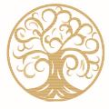 厦门新浪潮教育培训中心Logo