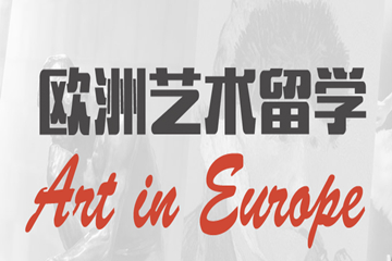 杭州新通教育欧洲艺术预科图片