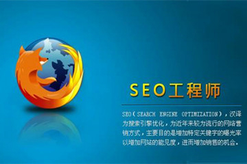 上海昂立IT职业教育SEO网站优化工程师图片