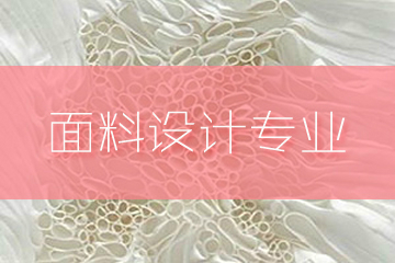 上海零创艺术教育·面料(纺织品)设计作品集辅导