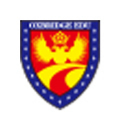 石家庄津桥国际教育Logo