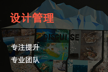 上海SKD国际艺术教育设计管理课程 
