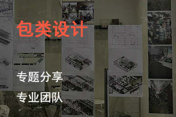 上海SKD国际艺术教育包类设计课程 