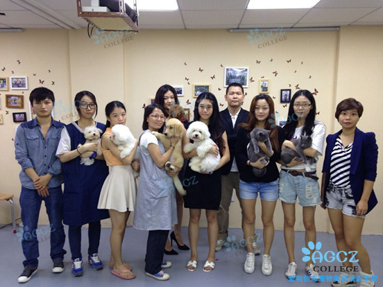 广州爱狗创志宠物美容培训学校环境图片