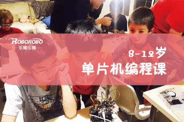 上海乐博机器人上海乐博单片机机器人课程（8-12岁）图片