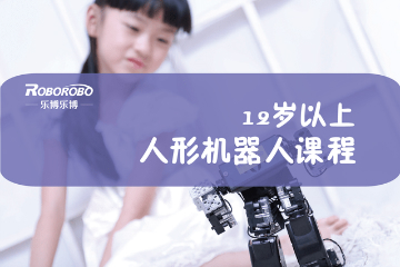 上海乐博机器人上海乐博人型机器人编程课程（12岁以上）图片