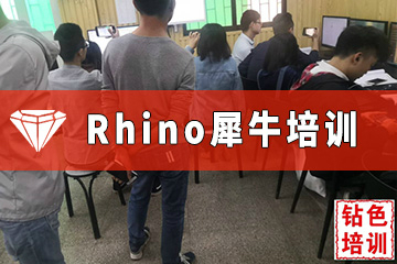 广州钻色珠宝培训学校广州Rhino犀牛培训课程图片