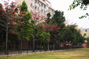 广东外语外贸大学公开学院环境图片