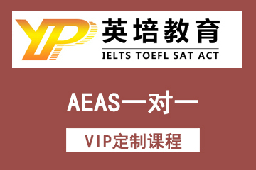 AEAS一对一VIP定制课程