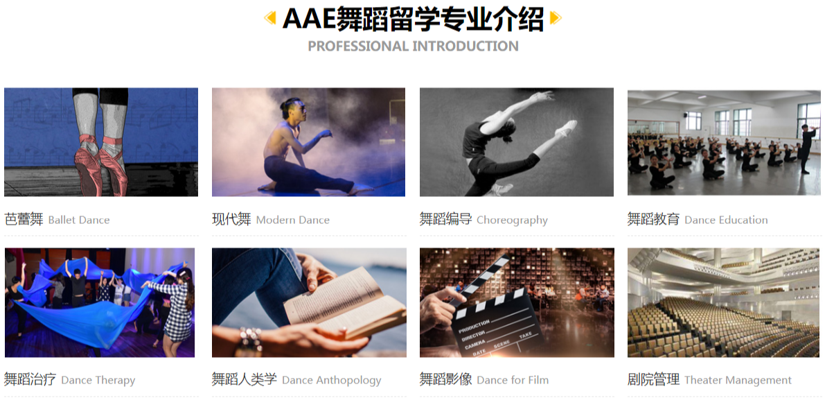 AAE国际艺术教育·舞蹈留学课程