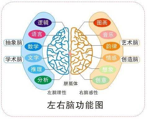 哇嘎嘎-高效记忆课程