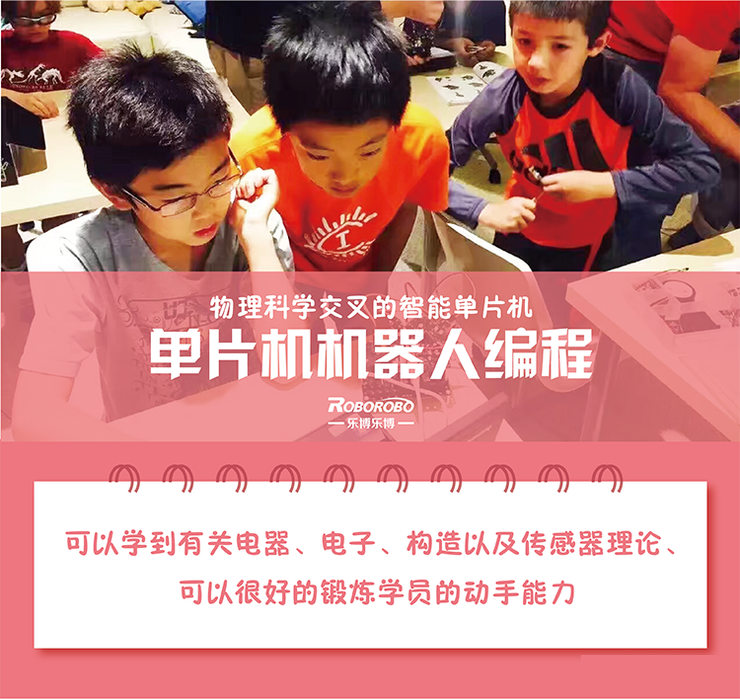 上海乐博单片机机器人课程（8-12岁）