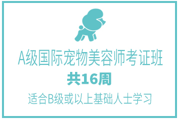 广州茉莉园宠物美容培训中心广州A级国际宠物美容师考证班图片