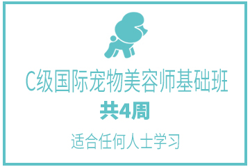 广州茉莉园宠物美容培训中心广州C级国际宠物美容师基础班图片