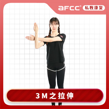 上海体适能AFCC上海体适能3M之拉伸培训课程图片