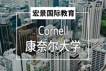 深圳宏景国际教育康奈尔大学Cornell图片